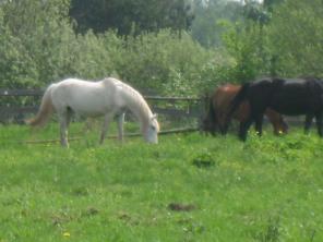 ���   ����  ������.