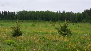 ������ ������� 6 ����� ��������� �����