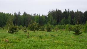 ������ ������� 6 ����� ��������� �����