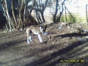 ����� ������ ����� ������