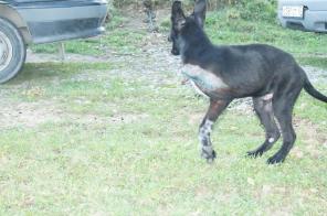 �� ���� 3-� ����� ���� ������� � ��������!