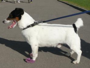 ���� ������ ������ � ���!