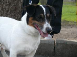 ���� ������ ������ � ���!