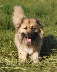 ����, �������� ������� ������ ���������� ������� � ���