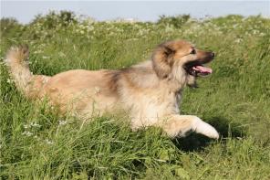 ����, �������� ������� ������ ���������� ������� � ���