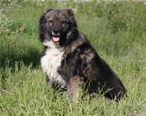 �����, ������� ������� ������ ���������� ������� � ���