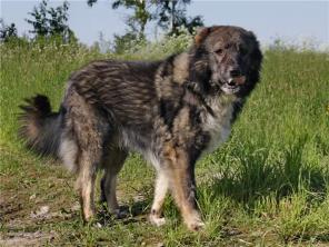 �����, ������� ������� ������ ���������� ������� � ���