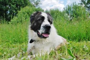 �����, ��������� ������� ������ ���� ���