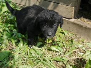 ����� � ���. 1 �����