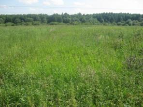 ������� 12 ����� ��� ��������-��������� �����