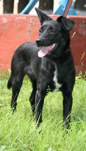 Милая и застенчивая малышка Ксюша ищет семью.