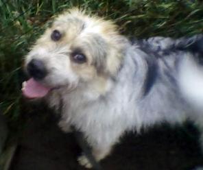 ���� - ����� ������� � ������ ����.