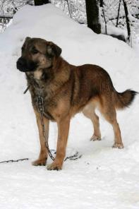 ��� � ��� ��������.