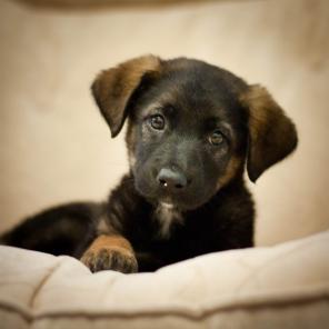 ����� ������ ������� ���� ���!