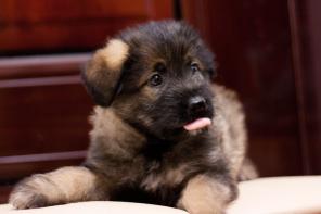 ����� ������ ������� ���� ���!