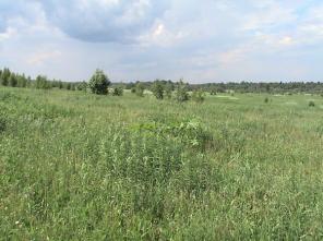 ��������� ������� 104539 ��. �.