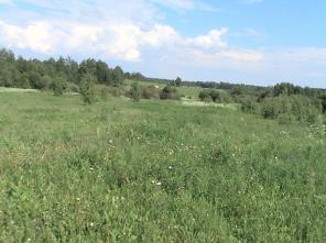 ��������� ������� 104539 ��. �.