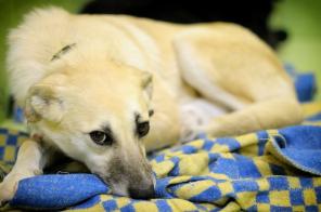 �����. �������� ������ � ������� ����! (���)