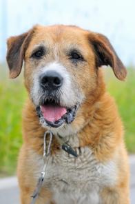 �����. �������� ��� ����� ���! (���)