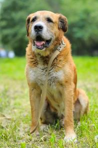 �����. �������� ��� ����� ���! (���)