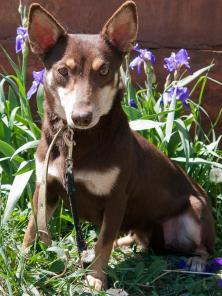 ���������� ������� ������ � ���