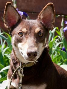 ���������� ������� ������ � ���