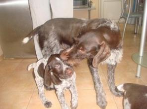 ������� ������ ���������