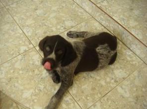 ������� ������ ���������