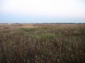 ������ ������� � ����� ��� � 58 ��. �� ����