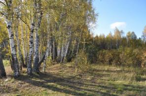 ������� �������