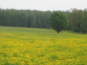 ������� � ������� ���������� ������, ����� ���. �������