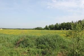 ������ ������� �������� �� ������� ������� , ������� �����