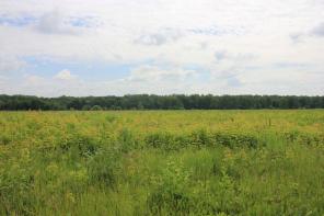 ������� � ��������� ������ 47 �� �� ����