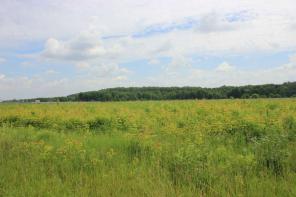 ������� � ��������� ������ 47 �� �� ����