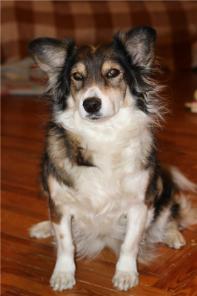 ������ - ��������� ������ 4 ����, � ������� ����.