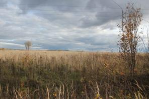 ������ ������� ������� �. �������