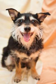 ��� ������� ���� ���!