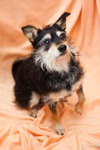 ��� ������� ���� ���!