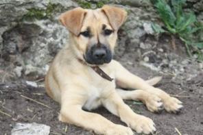 ����� ������ � ������ �����