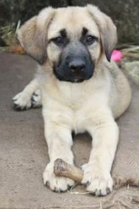 ����� ������ � ������ �����