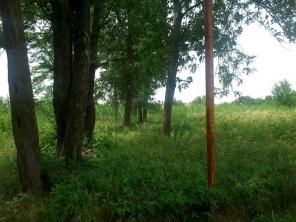 �������, �������� �����