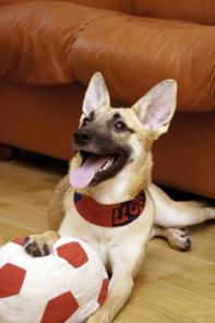 �������� �������� ���� � ������ ����