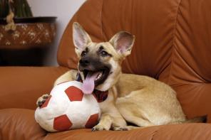 �������� �������� ���� � ������ ����