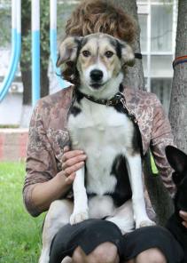 ���� ���� �����