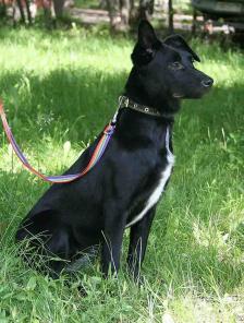 ����� ������� ����� ���� �����