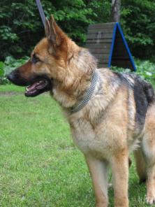 ������� ������������� ������� ���� ���� ���.