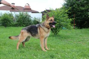 ������� ������������� ������� ���� ���� ���.