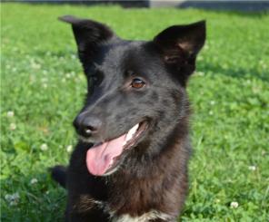 ��������� ������ �������� ������� � ���!