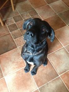 ����� ���������.