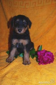 ����� �������������